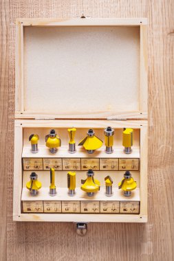 Ağaç işleme için roundover yönlendirici bit