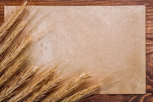 Old blank paper and ears of wheat — Stock Photo, Image