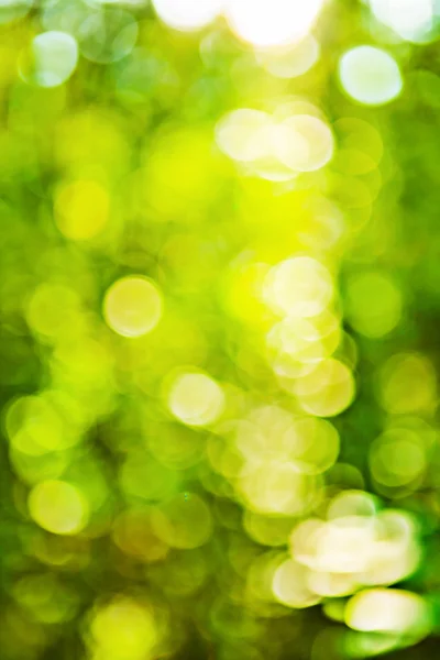Gröna våren bokeh — Stockfoto