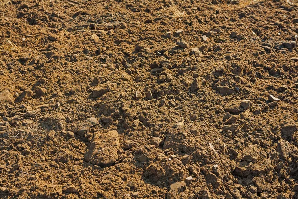 Terreno de arado fresco — Fotografia de Stock