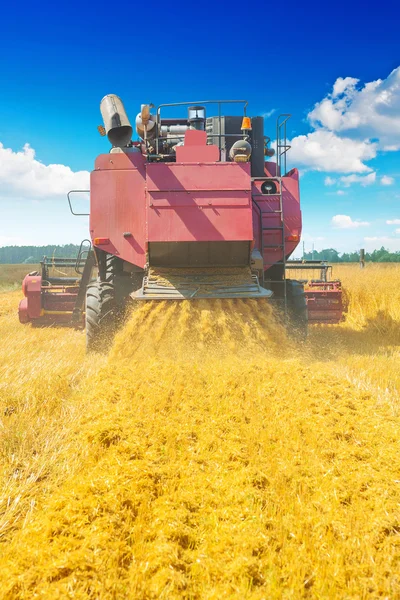 Mähdrescher bei der Arbeit — Stockfoto