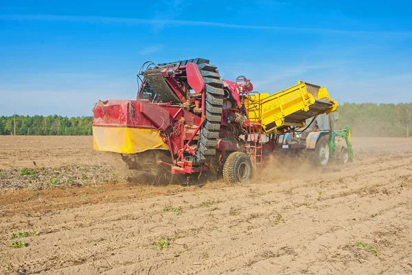 Récolteuse de pommes de terre dans le travail — Photo