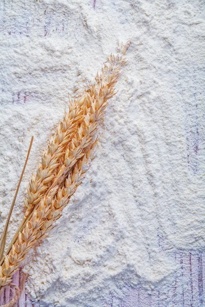 Маленькая куча пшеничных ушей — стоковое фото