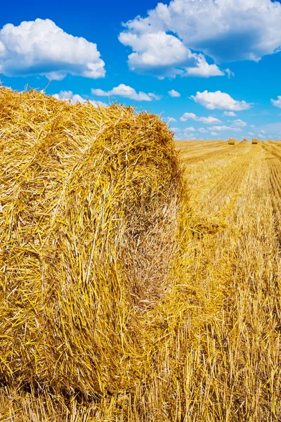 Strohballen auf Erntefeld — Stockfoto