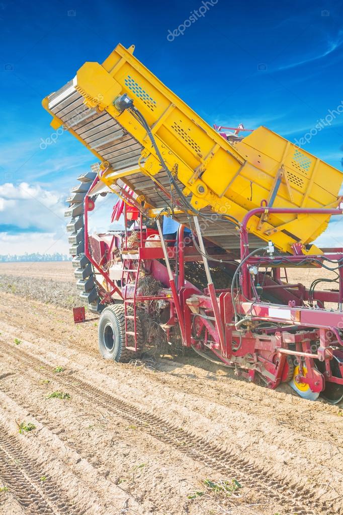 Potato harvester in work — Stock Photo © mihalec 69627543