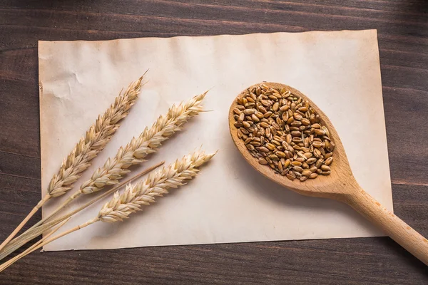 Wheat and spoon wtih corns — Stock Photo, Image