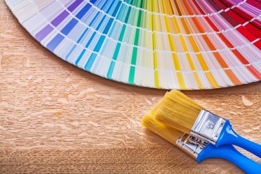 Boya fırçaları pantone fan ile