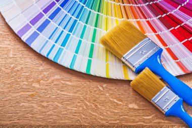 Pantone renk paleti Kılavuzu