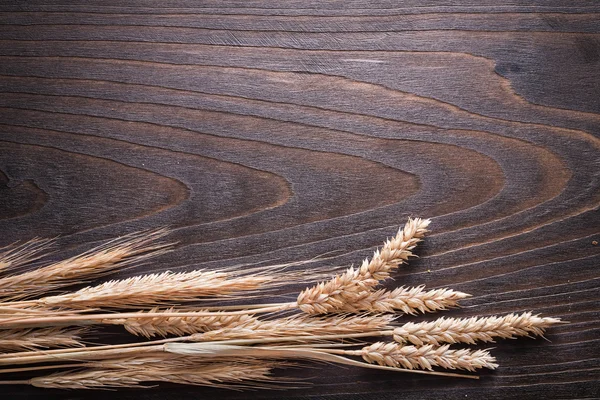 Bunch of wheat rye ears — Stock Photo, Image