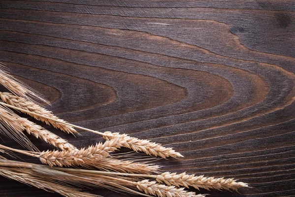 Wheat rye ears — Stock Photo, Image
