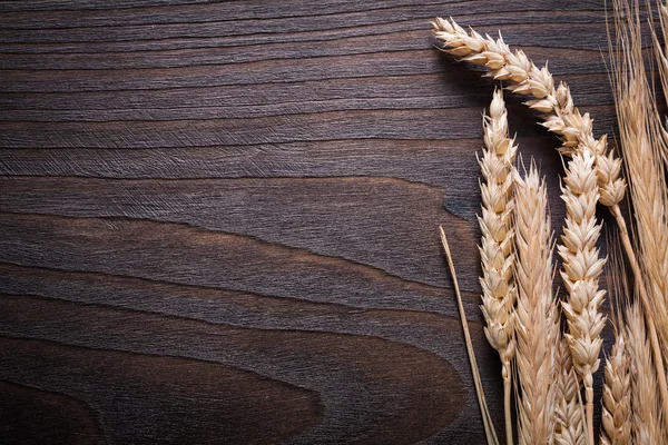 Buğday çavdar kulaklar — Stok fotoğraf