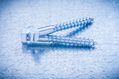 Pair of threaded screw bolts