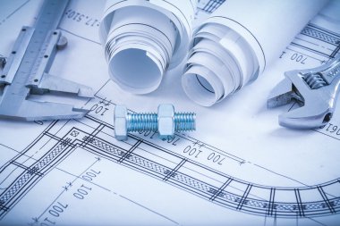 Screw bolt with nut, slide caliper
