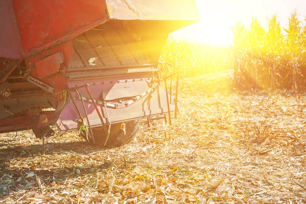 Combineren harvester op veld — Stockfoto