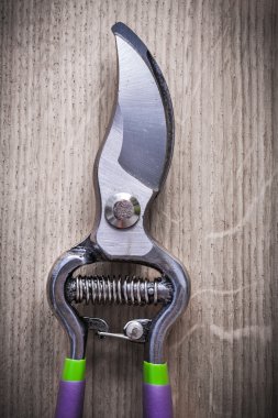 Keskin metal Bahçe secateurs