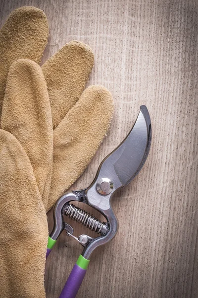Sharp pruning shears and safety gloves — Stock Photo, Image