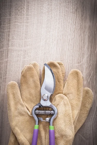 Cisailles et gants de protection — Photo