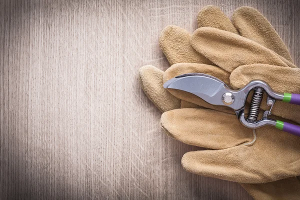 Sharp metal secateurs and  safety gloves — Stock Photo, Image