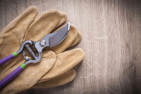 Secateurs and leather protective gloves — Stock Photo, Image