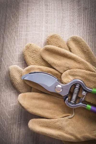 Garden pruner and leather safety gloves — Stock Photo, Image