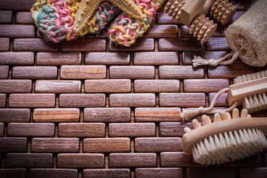 Loofah, massagers, starfish, scrubber and brushes