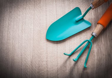 Gardening hand spade with metal rake