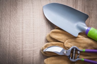 Pruning shears, hand spade and gloves