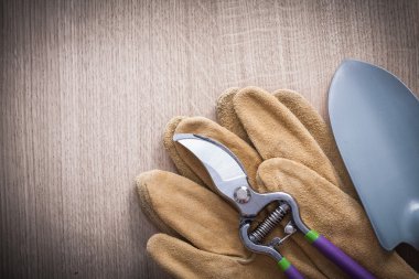 pruning shears, hand spade and gloves