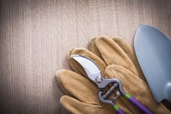 pruning shears, hand spade and gloves