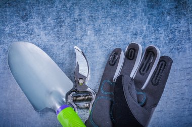 koruyucu eldiven tarım kavramı.