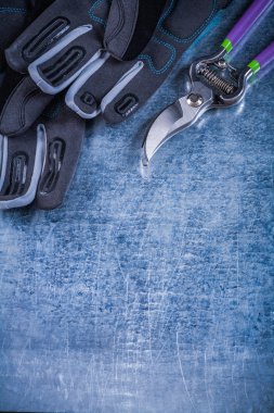 Keskin paslanmaz secateurs Emanet eldiven