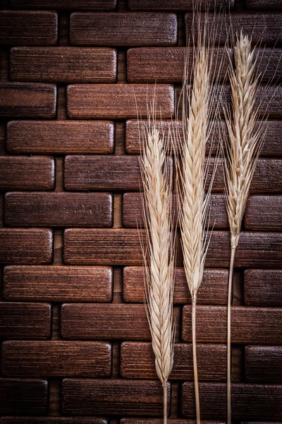 Golden wheat and rye ears — Stock Photo, Image