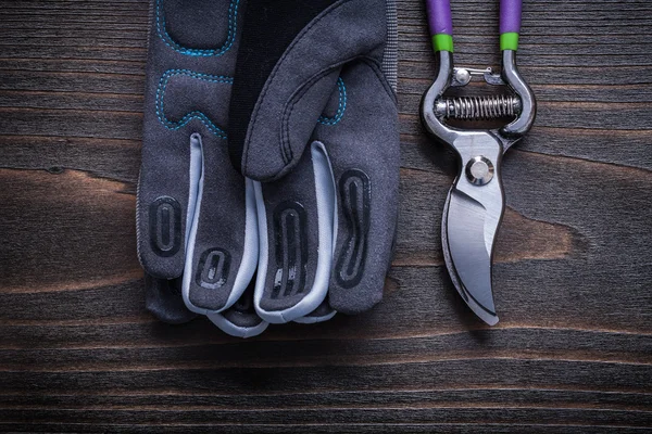 Pruning shears protective gloves — Stock Photo, Image