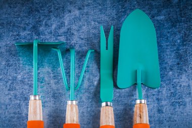 Çizik Metalik arka plan üzerinde takım Bahçe