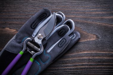 Secateurs Emanet eldiven ile