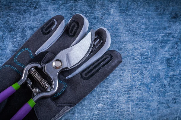 Tuin pruner personeel beschermende handschoenen — Stockfoto