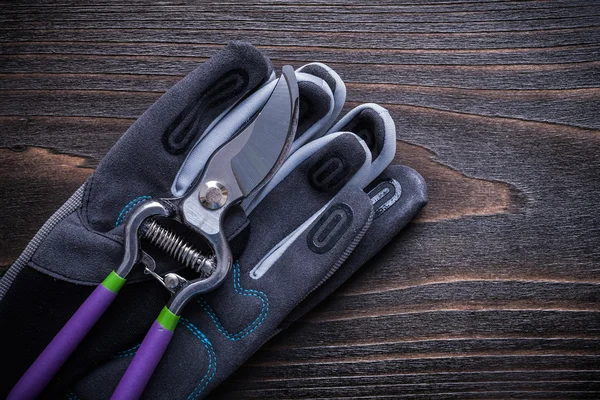 Secateurs with safety gloves — Stock Photo, Image