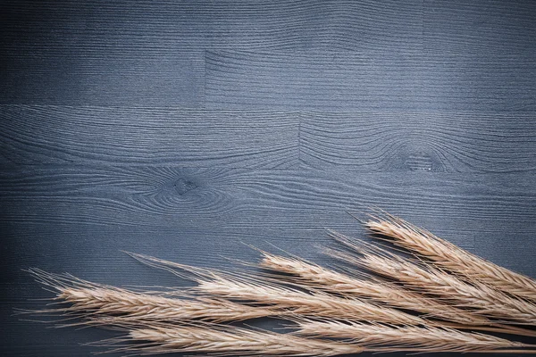 小麦の穂のスタック — ストック写真