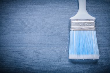 boya fırçası ile mavi kıl