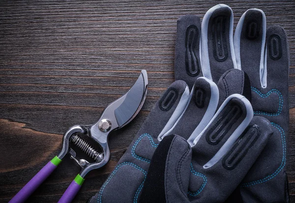 Set van tuin pruner beschermende handschoenen — Stockfoto