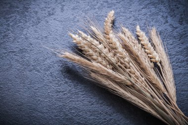 Buğday çavdar kulakları Close-Up