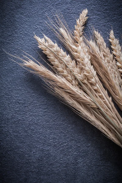 Zbliżenie: pszenica żyto uszy — Zdjęcie stockowe
