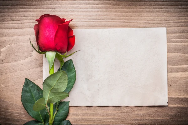 Papel em branco e rosa — Fotografia de Stock