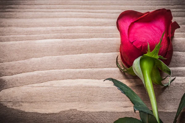 Kwitło róża na deska — Zdjęcie stockowe