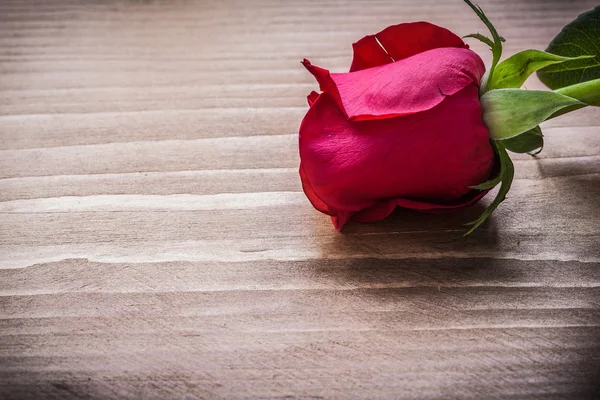 Kvetla růže na dřevěné desce — Stock fotografie