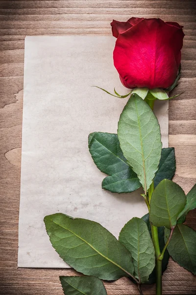 Hoja de papel con rosa roja —  Fotos de Stock