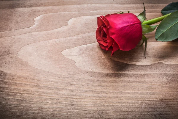 木の板に赤いバラのつぼみ — ストック写真