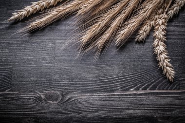 Altın buğday çavdar