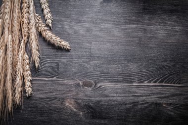 Altın buğday çavdar