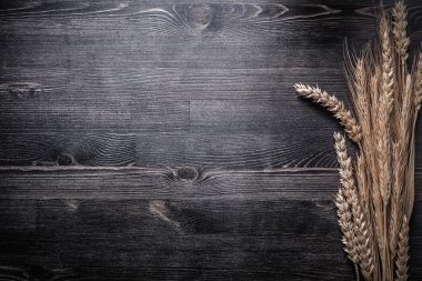 Altın buğday çavdar